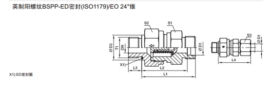 RHZ-R-ED 单向阀 英制螺纹-ED密封-2.jpg